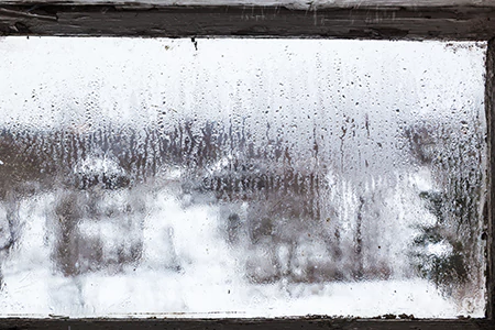 Defogging Double Pane Windows in St. Petersburg, FL
