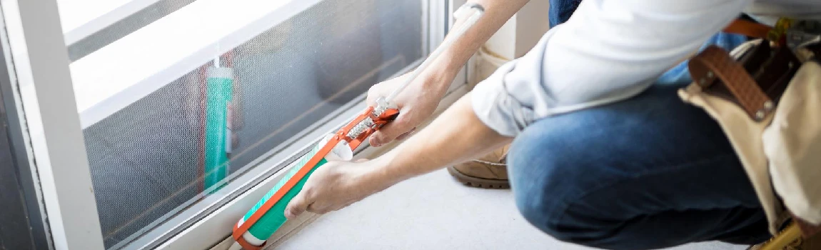 Emergency Window Replacement Services in St. Petersburg, FL