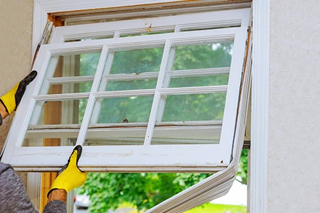 Window Replacement in St. Petersburg, FL